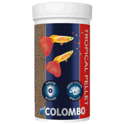 copy of colombo tropical...
